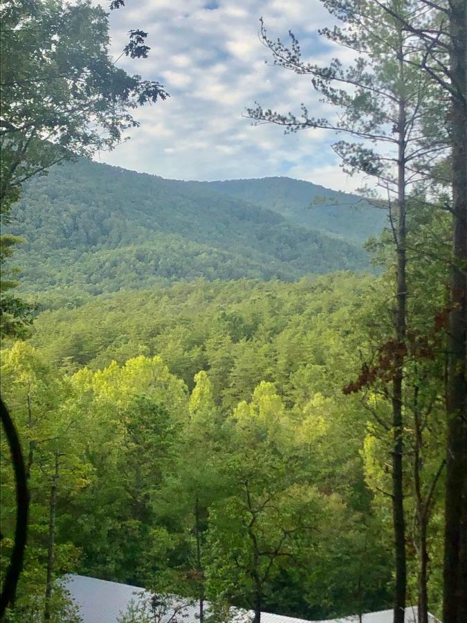 Mountain-Top Cabin Get-Away With Hot Tub And A View Sautee Nacoochee Eksteriør bilde