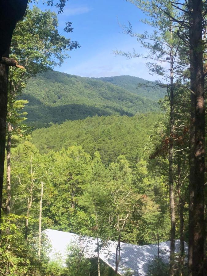 Mountain-Top Cabin Get-Away With Hot Tub And A View Sautee Nacoochee Eksteriør bilde